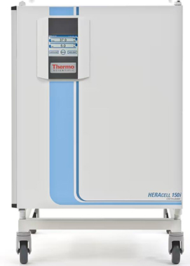 Thermo Scientific Heracell 240i CO2培养箱