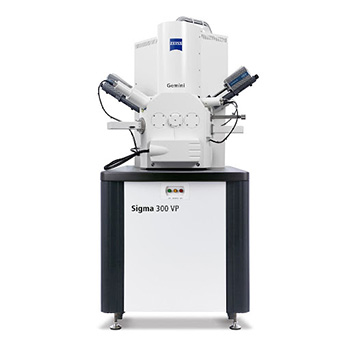ZEISS Sigma300扫描电子显微镜