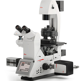 Leica DMi8倒置显微镜