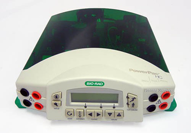 Bio-Rad PowerPac HC高压电泳仪