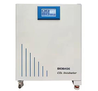 BIOBASE BJPX-C50II培养箱