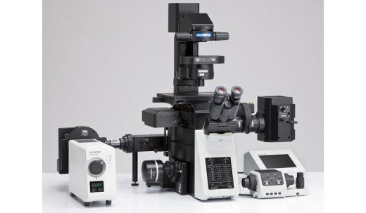 OLYMPUS奥林巴斯 IX83倒置显微镜