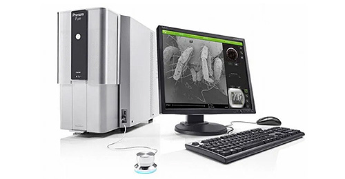 Thermo Phenom Pure扫描电子显微镜