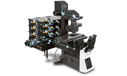 OLYMPUS FV4000共焦显微镜