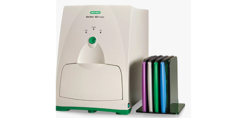 Bio-Rad Gel Doc EZ凝胶成像系统