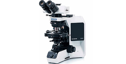 Olympus奥林巴斯 BX53P偏光显微镜