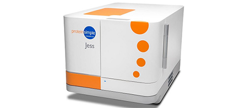 ProteinSimple Jess自动化蛋白质印迹系统