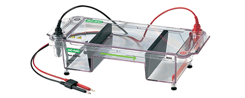 伯乐 Bio-Rad Sub-Cell GT核酸电泳系统
